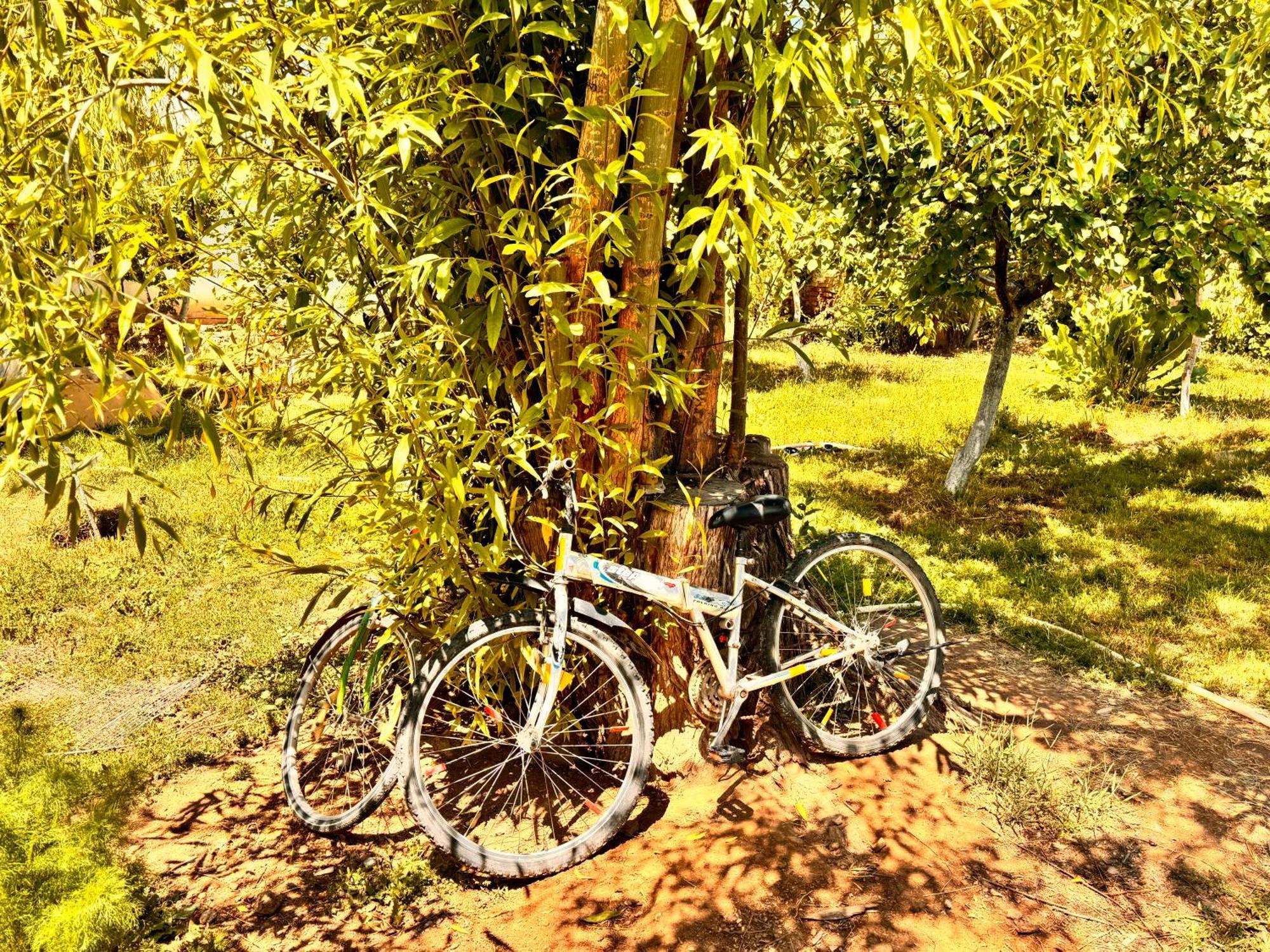 Eco House Summer Garden Kaji-Say Esterno foto